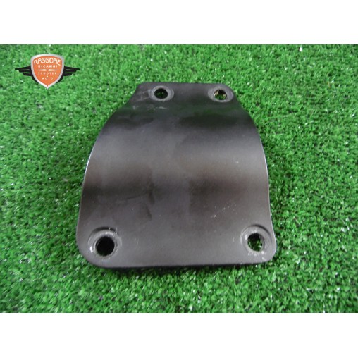 Protección de Forcello Kawasaki Ninja 636 ZX-6R 2007 2008