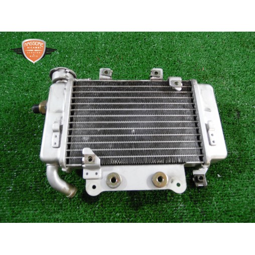 Radiatore acqua Benelli Caffènero Caffenero 150 2011 2015