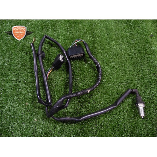 Cableado del motor Honda CBR 600 F ABS 2010 2013