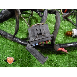 Mazo de cables principal Piaggio Carnaby 200 ES 2006 2011