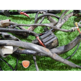 Mazo de cables principal Piaggio Carnaby 200 ES 2006 2011
