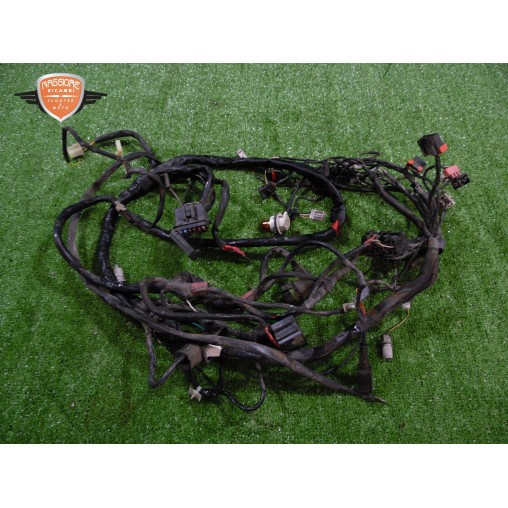 Mazo de cables principal Piaggio Carnaby 200 ES 2006 2011