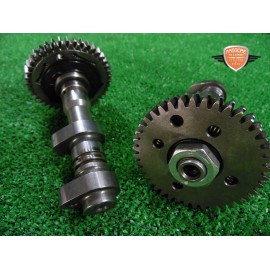 Contro albero contralbero Aprilia Dorsoduro 750 2009 2014