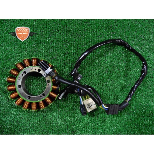 Statore Aprilia Dorsoduro 750 2009 2014