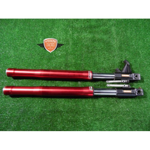 Forcella steli piastre Derby GPR 125 4V 2009 2015