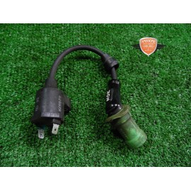 Bobina d'accensione Piaggio Beverly Cruiser 250 2007 2011