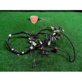 Mazo de cables principal Kymco Maxxer 50 2015