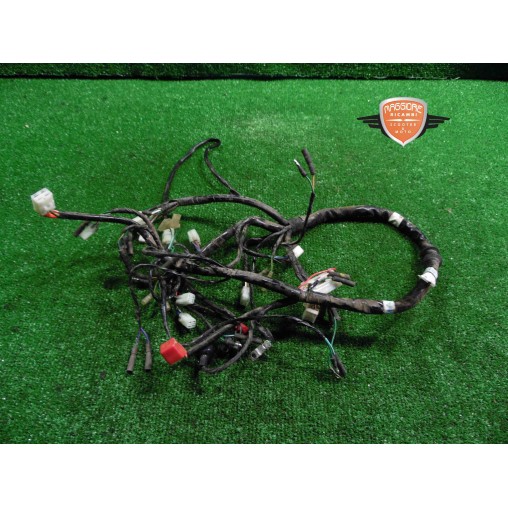 Mazo de cables principal Kymco Maxxer 50 2015