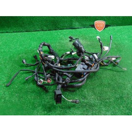 Mazo de cables principal Suzuki SV 650 2016 2020