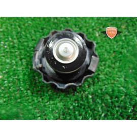 Tapa del radiador Suzuki SV 650 2016 2020