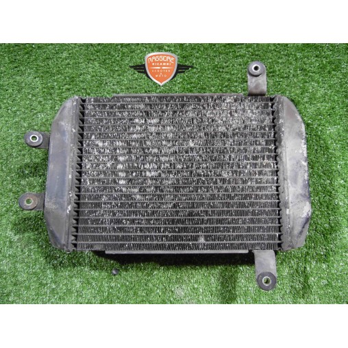 Water cooler Suzuki Burgman 250 1998 2001