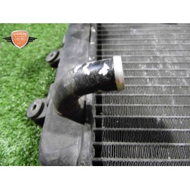 Water cooler Suzuki Burgman 250 1998 2001