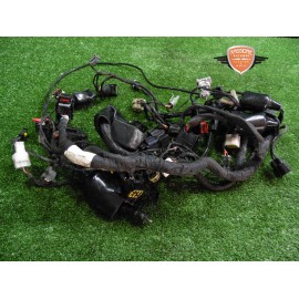 Mazo de cables principal Benelli Leoncino 500 ABS 2017 2020