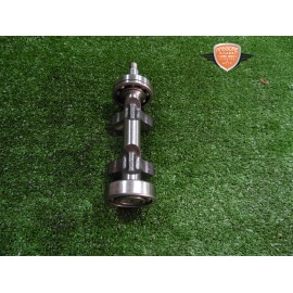 Gegen Baum Benelli Leoncino 500 ABS 2017 2020