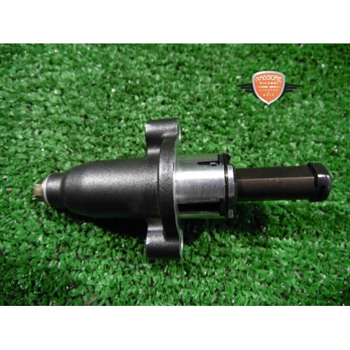 Tenditore catena Benelli BN 302 2017