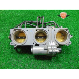 Butterfly body Triumph Tiger 800 XRT 2018 2020