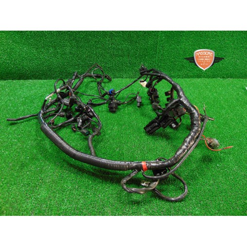 Mazo de cables principal Triumph Tiger 800 XRT 2018 2020