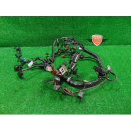 Mazo de cables principal Triumph Tiger 800 XRT 2018 2020