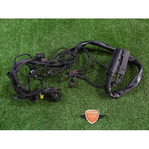 Motor-Verkabelungssystem BMW F 700 GS ABS 2012 2015