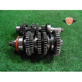 Cambio Triumph Bonneville 800 2002 2007