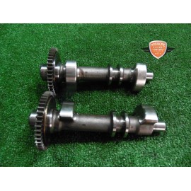 Contre l’arbre Triumph Bonneville 800 2002 2007