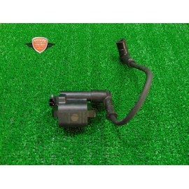 Zuendspule Ducati Scrambler 800 Desert Sled 2021 2022