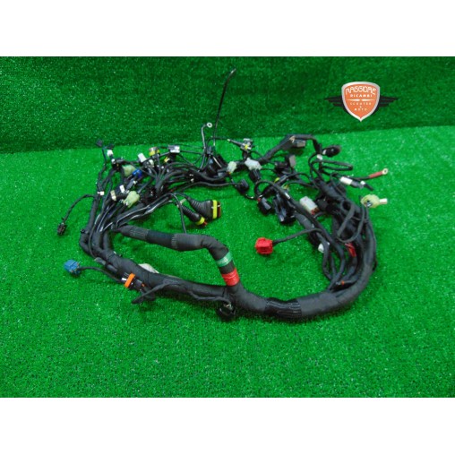 Impianto cablaggio elettrico Ducati Scrambler 800 Desert Sled 2021 2022