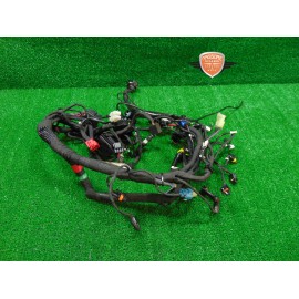 Main wiring harness Ducati Scrambler 800 Desert Sled 2021 2022