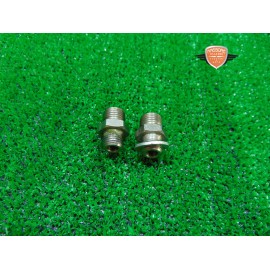Oil crankcase pins Ducati Scrambler 800 Desert Sled 2021 2022
