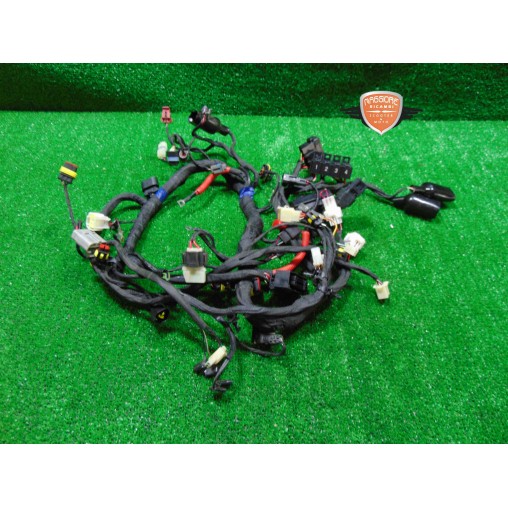 Hauptkabelbaum Benelli TRK 251 2019 2020