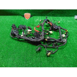 Hauptkabelbaum Benelli TRK 251 2019 2020