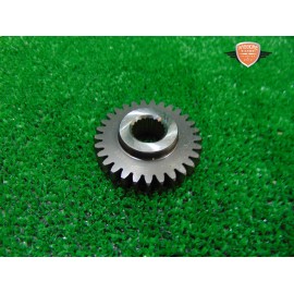 Ingranaggio motore Malaguti XSM 125 2019 2020