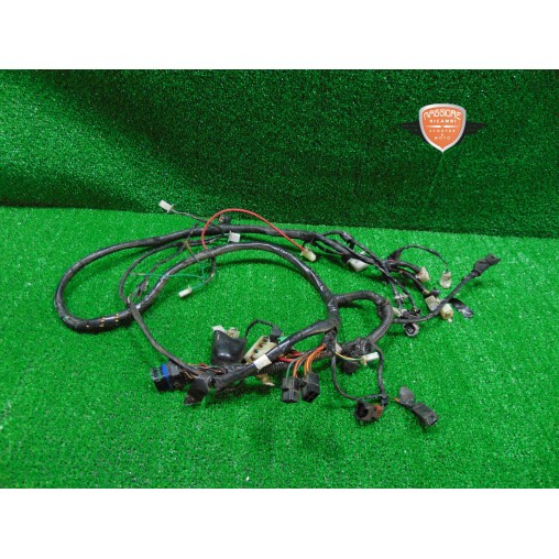 Mazo de cables principal SYM Symphony 200 ST CBS 2015 2017