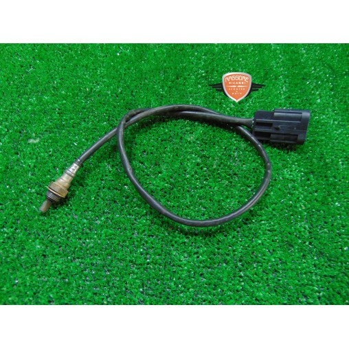 Sonda lambda Benelli TRK 251 2019 2020