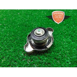 Kühlerkappe BMW R 1200 GS 2017 2018