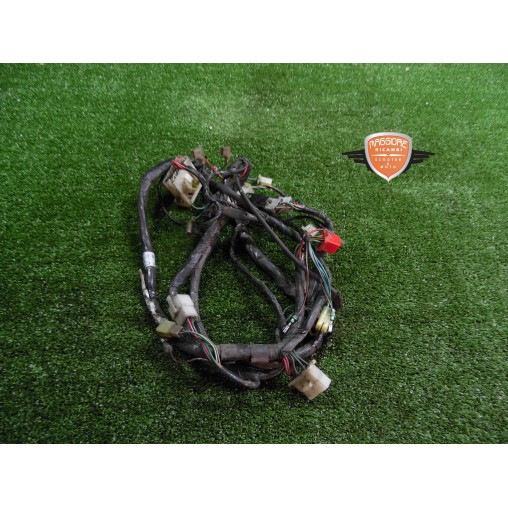 Mazo de cables principal SYM HD 125 EVO 2006 2016
