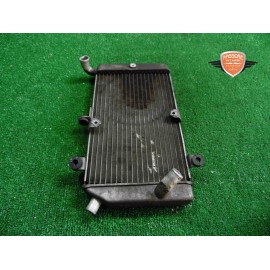 Water cooler Honda SW-T 400 2009 2016