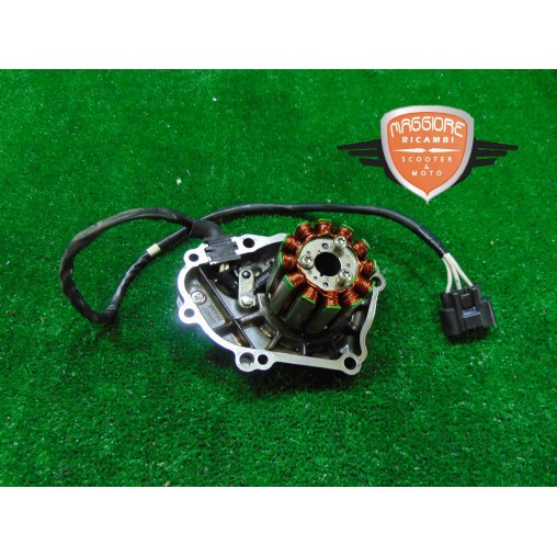 Carter stator Yamaha FZ8 2010 2012