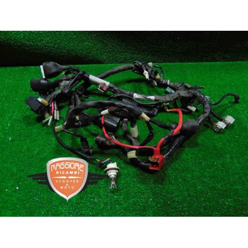 Impianto cablaggio elettrico Yamaha FZ8 2010 2012