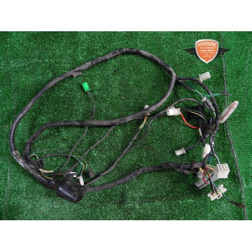 Main wiring harness Peugeot Tweet 150 2017 2020