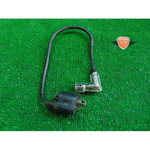 Coil ignition Eagle Lyda 203 E 2008