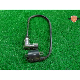 Bobina d'accensione Eagle Lyda 203 E 2008