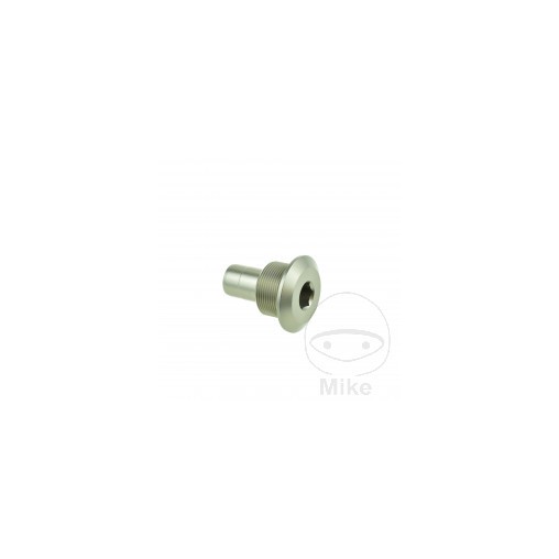 Right swingarm pin M27x1.5x43.5 mm BMW R 1150 R Roadster ABS 2004