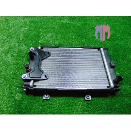 Radiatore acqua Quadro QV3 350 2018 2019
