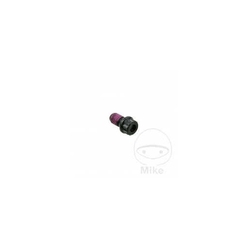 Drive shaft screw M8X1.0X21 mm BMW R 60 1956 1980
