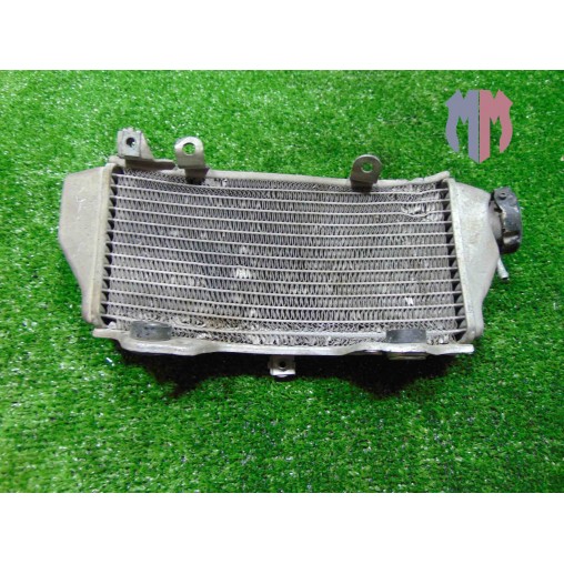 Radiador agua Yamaha WR 250 X 2008 2013