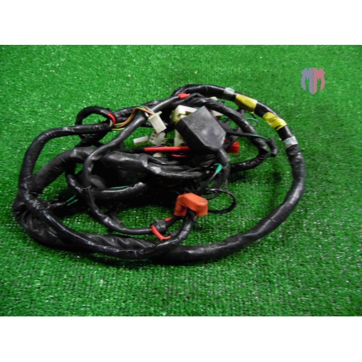 Arnés de cableado para Laverda Phoenix 150 2001 2002