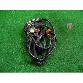 Arnés de cableado para Laverda Phoenix 150 2001 2002