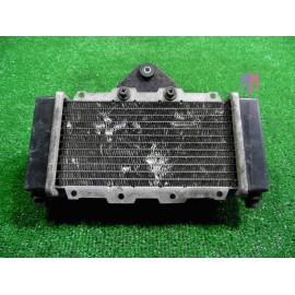 Radiatore acqua Laverda Phoenix 150 2001 2002