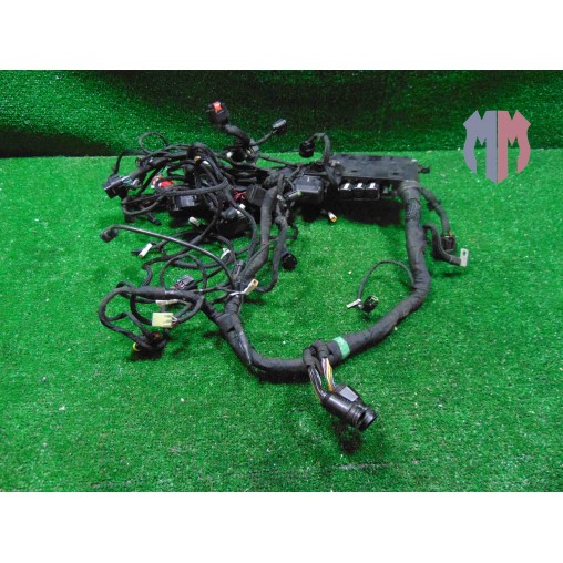 Main wiring harness Ducati Multistrada V4 1100 Pikes Peak 2021 2023